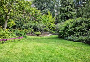 Optimiser l'expérience du jardin à Eplessier